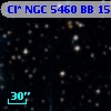 Cl* NGC 5460     BB     159