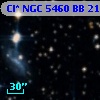 Cl* NGC 5460     BB     219