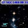 Cl* NGC 5460     BB     313