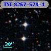 TYC 8267-529-1