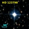 HD 123798