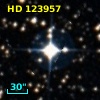 HD 123957