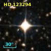 HD 123294