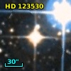 HD 123530