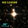 HD 124599
