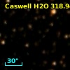 Caswell H2O 318.94-00.20