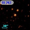 SS 262