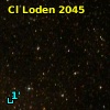 Cl Loden 2045