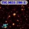 TYC 9021-390-1