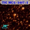 TYC 9021-1497-1