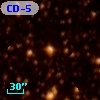 CD-59  5531