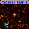 TYC 9021-1496-1