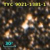 TYC 9021-1381-1