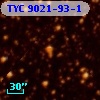 TYC 9021-93-1