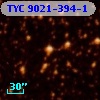 TYC 9021-394-1