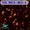 TYC 9021-461-1