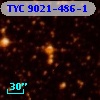 TYC 9021-486-1