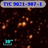 TYC 9021-907-1