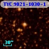 TYC 9021-1030-1