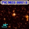 TYC 9021-1687-1