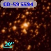 CD-59  5594