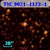 TYC 9021-1173-1