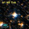 V* NT TrA