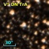 V* DN TrA