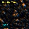 V* SV TrA