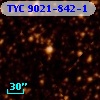 TYC 9021-842-1