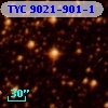 TYC 9021-901-1