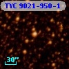 TYC 9021-950-1