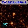 TYC 9021-1080-1