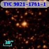 TYC 9021-1781-1