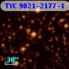 TYC 9021-2177-1