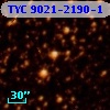 TYC 9021-2190-1