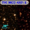 TYC 9022-687-1