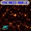 TYC 9022-960-1