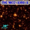 TYC 9022-1393-1