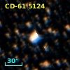 CD-61  5124