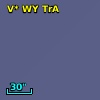 V* WY TrA