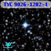 TYC 9026-1202-1
