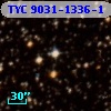 TYC 9031-1336-1