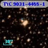 TYC 9031-4488-1