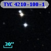 TYC 4210-100-1