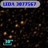 LEDA 3077567