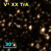 V* XX TrA
