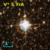 V* S TrA