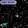NSV  7541