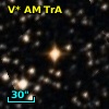 V* AM TrA